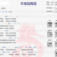 陈晖宜《不准说再见》吉他谱分享