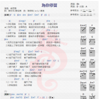 吴思贤《为你停留》吉他谱分享