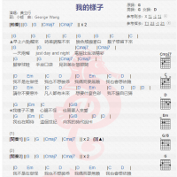黄立行《我的样子》吉他谱分享