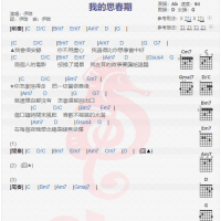 伊晗《我的思春期》吉他谱分享