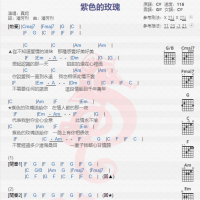 真妮《紫色的玫瑰》吉他谱分享