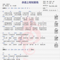 张若凡《赤道上有知更鸟》吉他谱分享