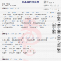 柯智棠《你不真的想流浪》吉他谱分享