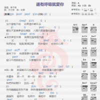 李子森《还有呼吸就爱你》吉他谱分享