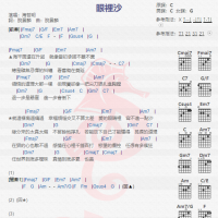 海哲明《眼里沙》吉他谱分享