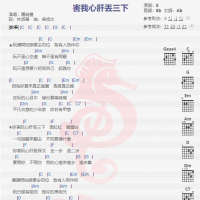 罗时丰《害我心肝丢三下》吉他谱分享