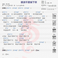 舒米恩《眼泪不要掉下来》吉他谱分享