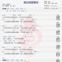 詹雅雯《我已经爱着你》吉他谱分享