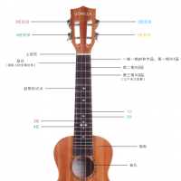 「歌芮拉尤克里里零基础入门教学」第一课：认识尤克里里