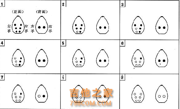 有哪些小乐器，是学习起来非常方便的？