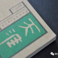 刘齐：我的电影生活｜天涯·新刊
