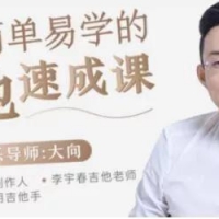 大向吉他教学，吉他入门零基础简单易学的吉他弹唱速成课视频教程