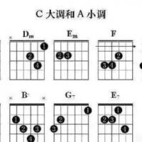 零基础如何自学吉他 新必看的吉他教学