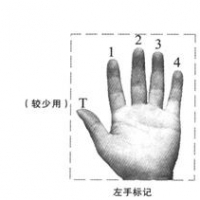 自学尤克里里，零基础教学系列（2）左手、四线谱