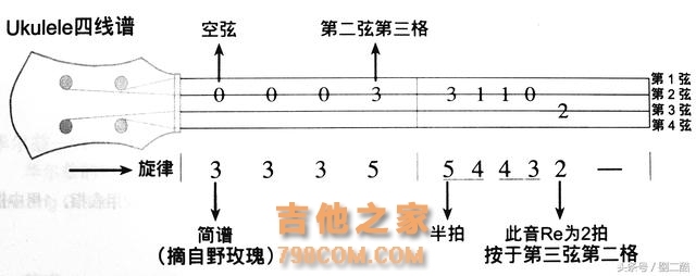 自学尤克里里，零基础教学系列（2）左手、四线谱