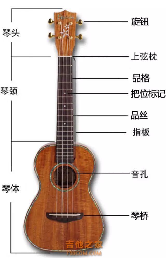 大连Ukulele尤克里里演奏入门教程