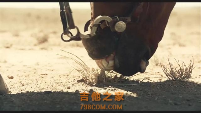 花样作死，看到爽飞！这部沙雕版“西部世界”预定2月奥斯卡！