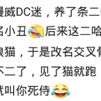生活中有哪些，让你笑破肚皮的笑话？网友：笑死我了