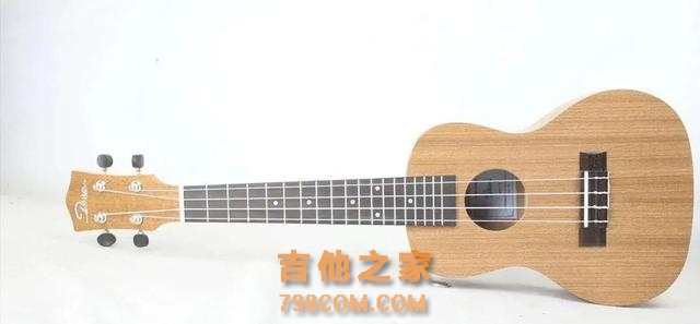 明星都喜爱的乐器—Ukulele咋入门？