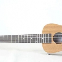 明星都喜爱的乐器—Ukulele咋入门？
