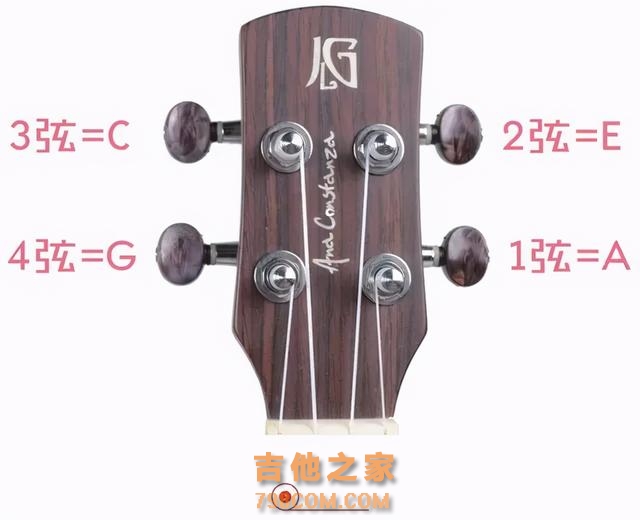 明星都喜爱的乐器—Ukulele咋入门？