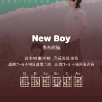 好谱分享：New Boy 房东的猫 G调手机吉他谱