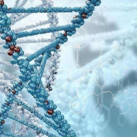 高中生物必修1《分子与细胞》高一上复习提纲