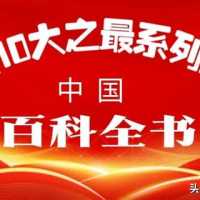 一辈子只唱一首歌就能火的10名歌手
