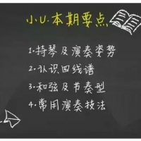 尤克里里新手必会！
