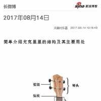 拿着尤克里里却分不清各个部位叫什么？看了这个你就知道了