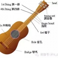 西部高科数字乐谱库：五分钟教你学会尤克里里