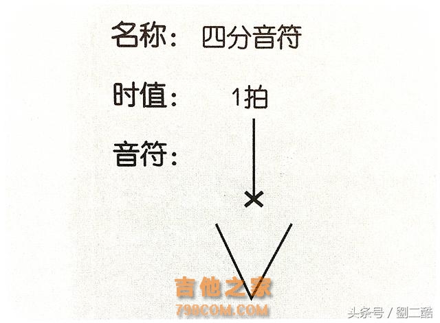 自学尤克里里，零基础教学系列（5）节拍