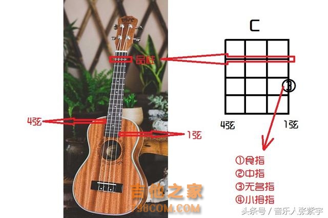 尤克里里常用到的和弦，以及它们的变形，能理解记住弹唱就不愁了