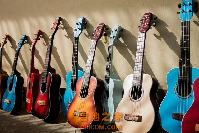 卖了上千把吉他，为新手选购吉他总结的一些实用妙招