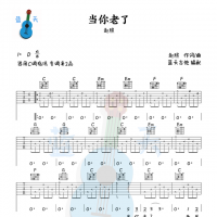 《当你老了》吉他谱免费分享，赵照熬夜爆肝制作