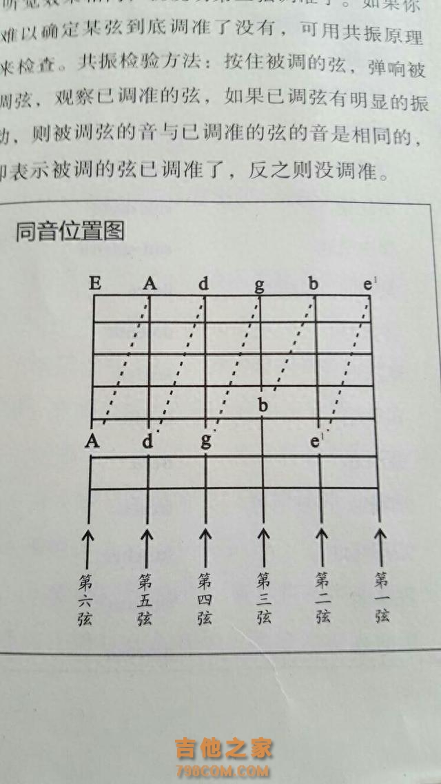 新手学吉他需要注意些什么吗？｜吉他教学｜谱全了