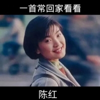 春晚再也见不到的三位歌手，陈红、田震、孙悦，有你喜欢的吗？