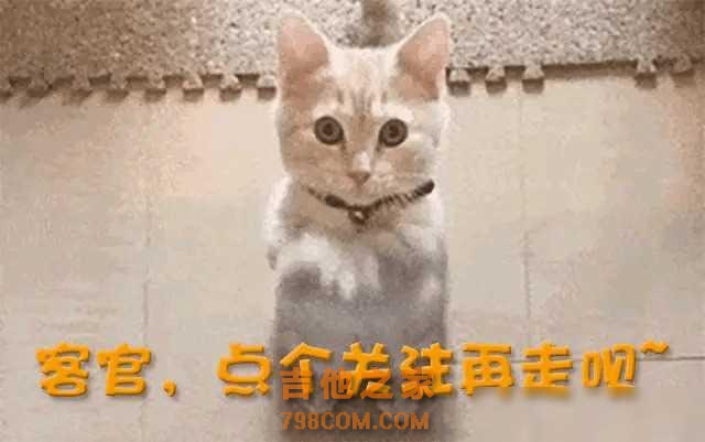 严重被低估的六位歌手:有人被误解只会唱神曲,有人被当成演员