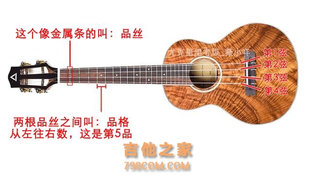 尤克里里的Do Re Mi Fa So La Xi在哪里？简谱怎么弹？