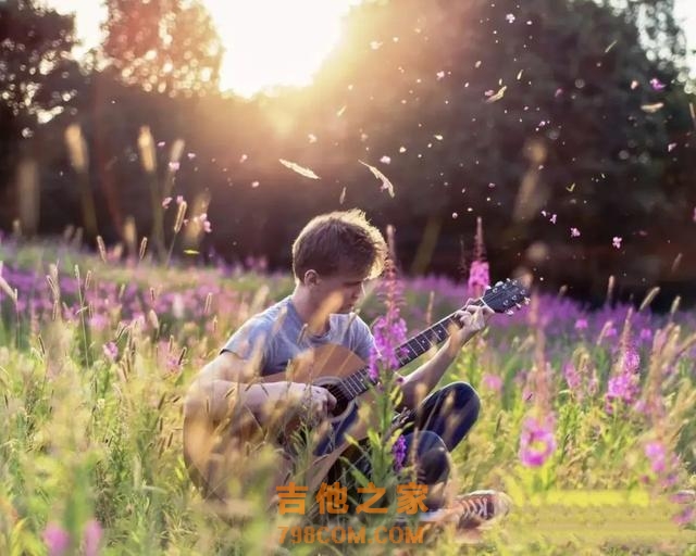 为什么有的人学不会吉他?原因找到了