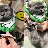 时隔四载，《歌手》归来，要奉献“真唱真现场”