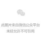 《歌手2024》第四期歌单公布！有两首周杰伦的歌