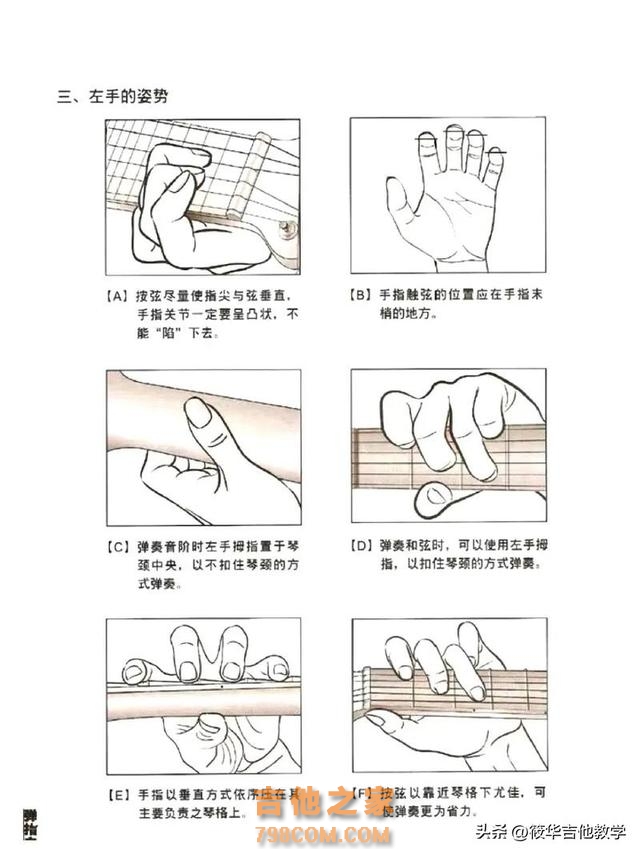 吉他新手入门从哪里开始？正确学琴方式告诉你了#零基础学吉他
