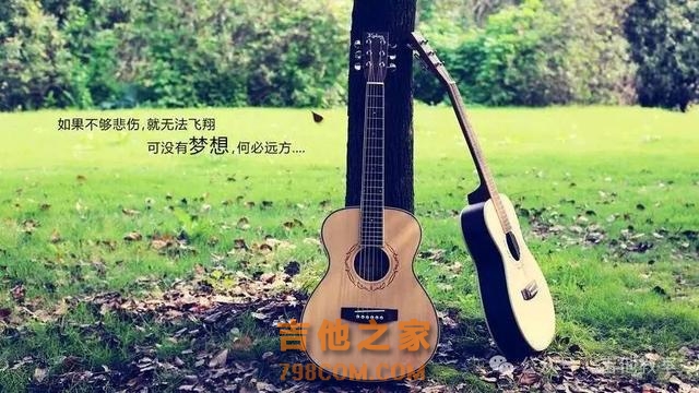 和弦简单又少的歌曲推荐(附吉他谱),适合刚入门的你!
