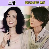 “国家一级演员”的10位女歌手