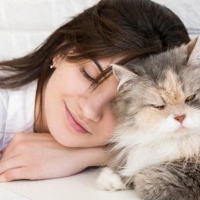 养猫人的6大共性，藏不住，也不需要藏，因为这是荣耀