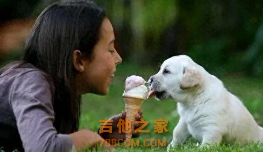 从"牛马"到"萌宠" 下辈子投胎指南——不做打工人，争做豪门贵犬