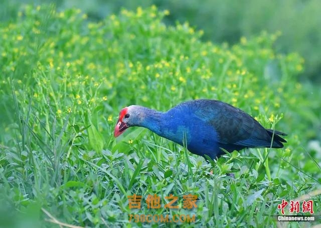 刚刚！再次上榜！“她”最喜欢→