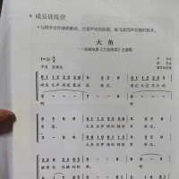 知名年轻歌手四首歌选入课本！网友：时代之声