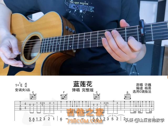 想学吉他却不知道从哪下手？别担心！今天来挑战许巍的《蓝莲花》
